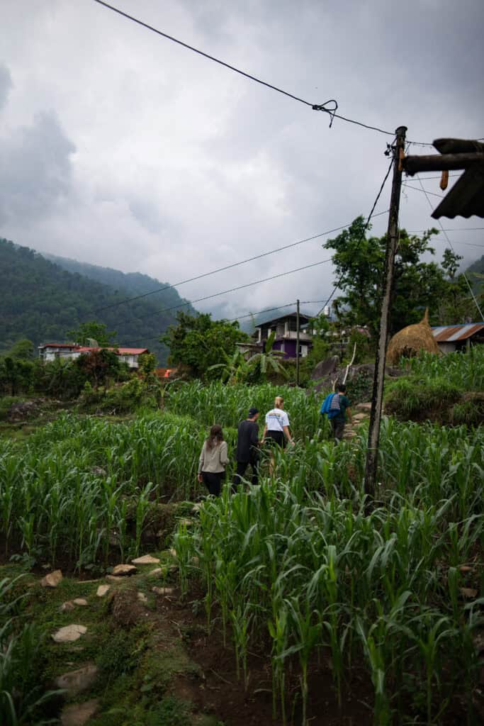 a group of people walking up a hill through fields of foliage