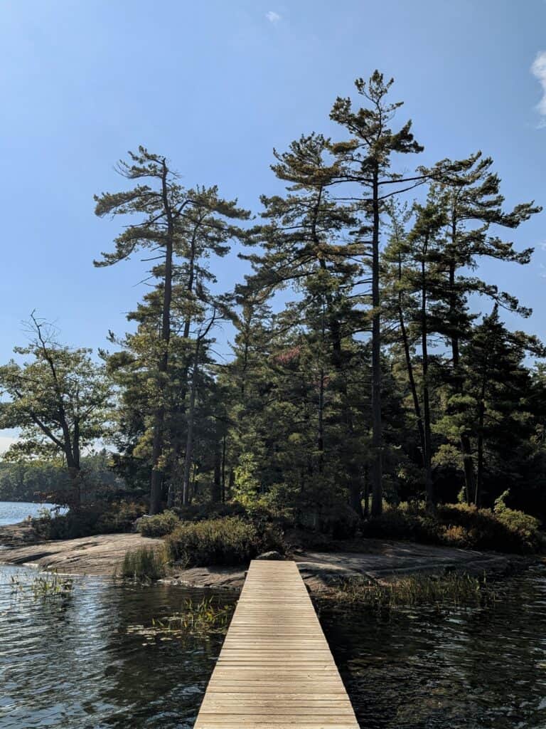 a wooden boardwalk leading to a rocky shore on the edge of a lake