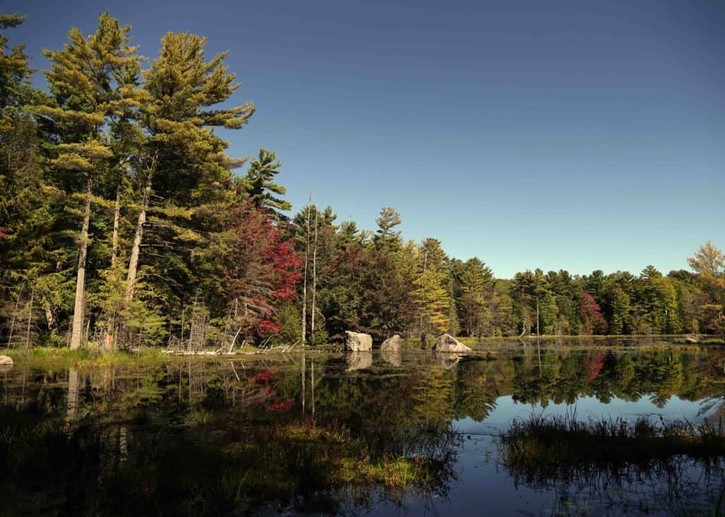 A calm lake in Hardy Lake Provincial Park during autumn, with the trees around the lake starting to turn to fall colours.