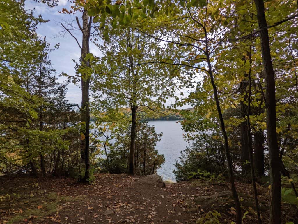 View of Solitaire Lake from a forested trail in Limberlost Forest and Wildlife Reserve. Trees with early fall foliage frame the shoreline, while the calm lake stretches into the distance beneath an overcast sky. Fallen leaves cover the trail leading down toward the water.