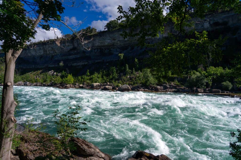 Whitewater rapids surge through the Niagara River Gorge at Niagara Glen. Turquoise water rushes between rocky shoreline and towering limestone cliffs, with trees framing the scene and lush vegetation covering the gorge walls beneath a bright blue sky.