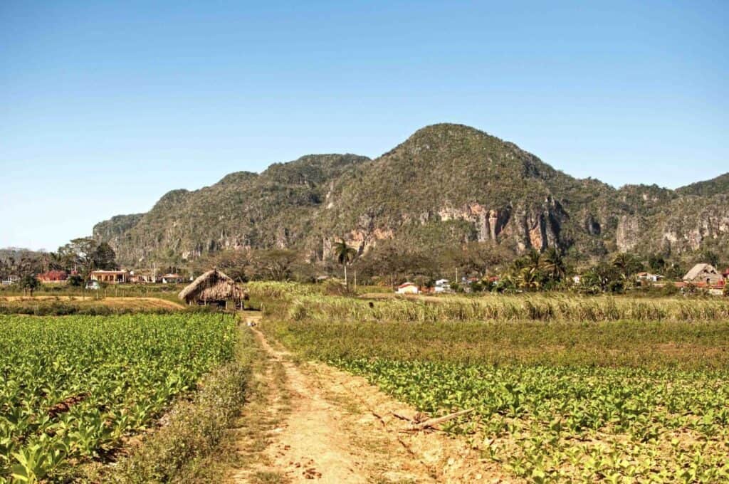 the fields and landscapes in vinales, cuba