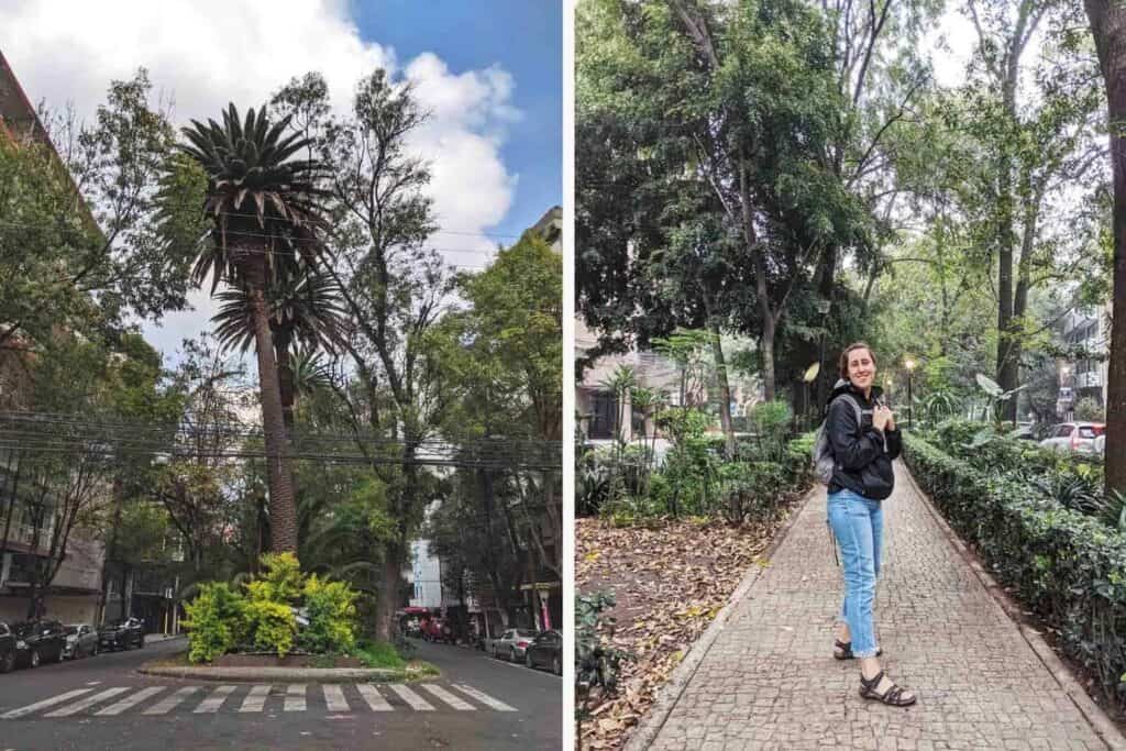 a lush park in mexico city with. awoman wearing a black jacket and jeans smiling and looking into the camera