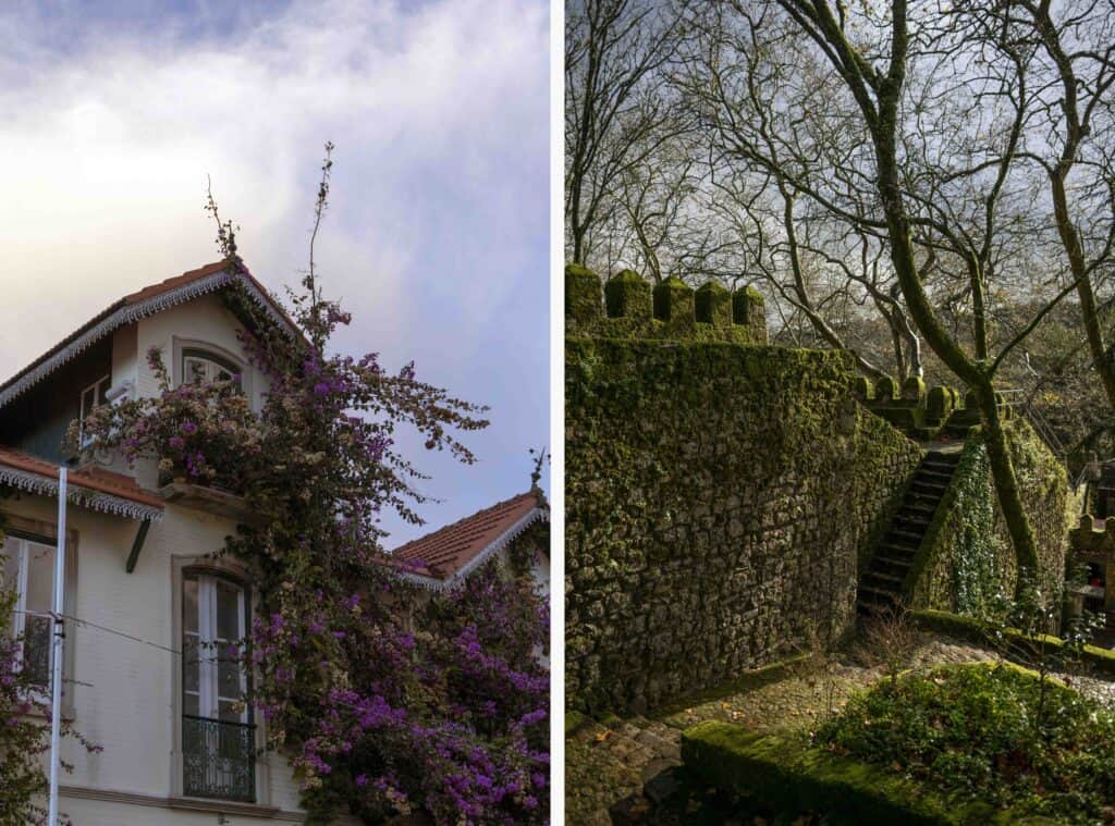a house in sintra covered with purple flowers and moss-covered castle walls at the castle of the moors
