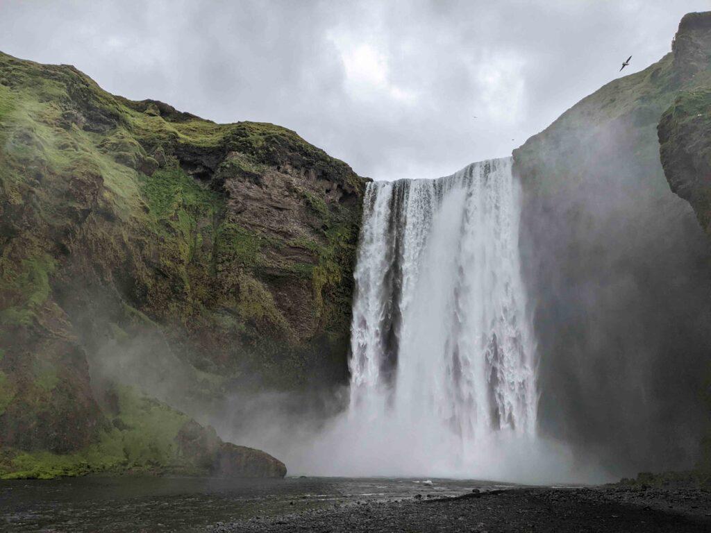 Skógafoss waterfall plunging over a steep, moss-covered cliff in southern Iceland, with thick mist rising from the base and a bird flying overhead beneath a cloudy sky.