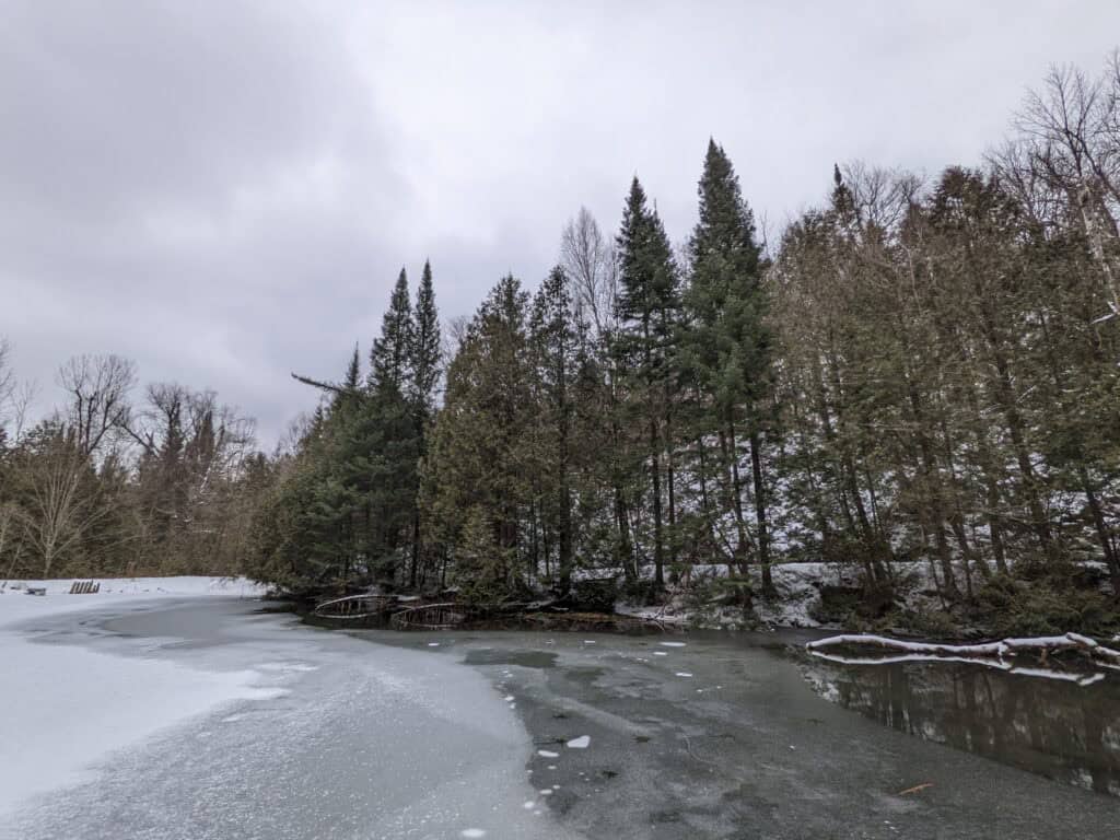 Partially frozen pond at Mono Cliffs Provincial Park, Ontario, surrounded by snow-covered banks and a dense forest of evergreen and bare deciduous trees under an overcast winter sky.