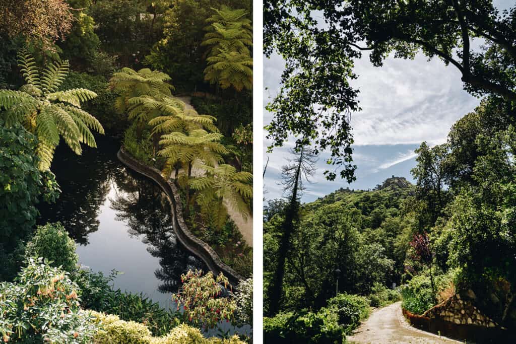 lush gardens at Biester Palace in Sintra Portugal
