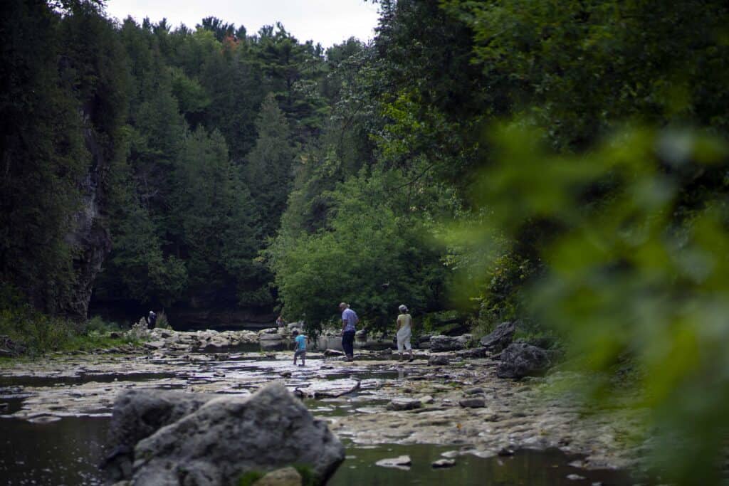 Visitors wade through the shallow riverbed at Elora Gorge, surrounded by limestone cliffs, rocky shoreline, and dense forest on a summer day.