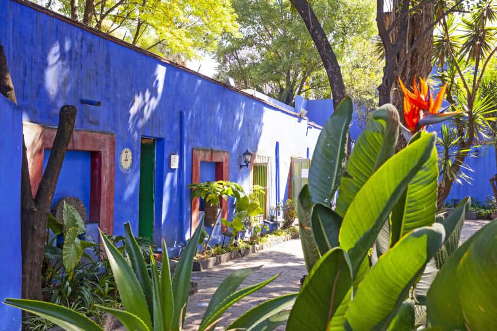 The Frida Kahlo Museum, which has cobalt-blue walls and lots of lush plants alongside it