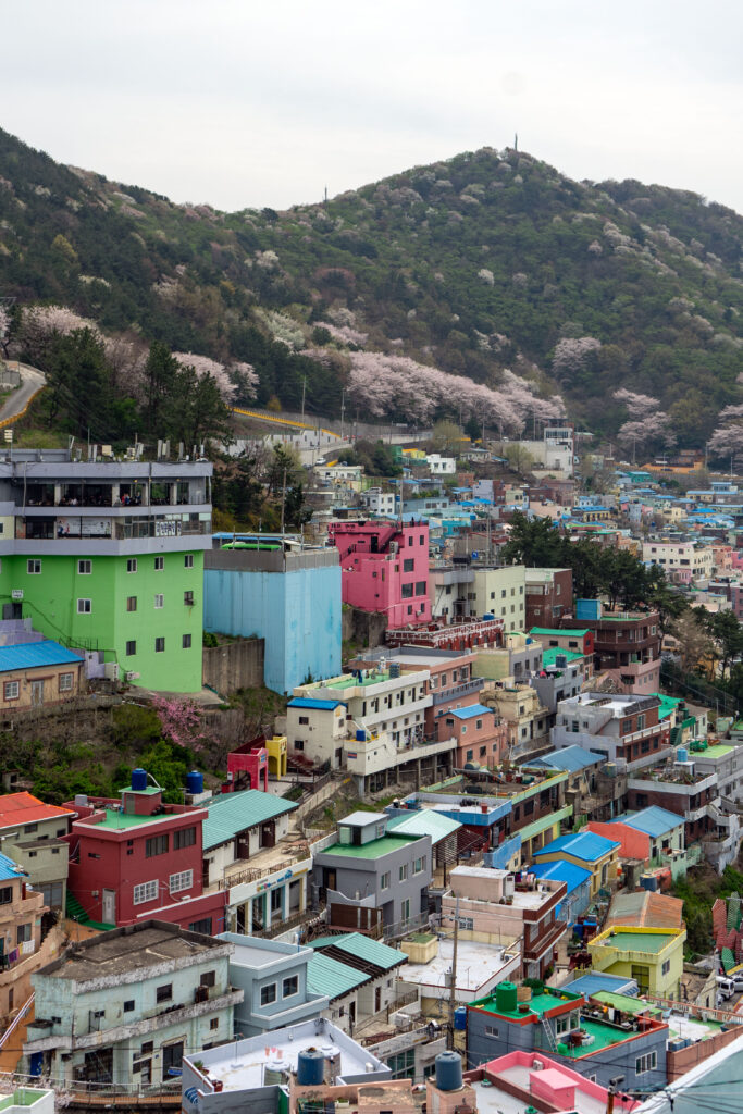 View of Gamcheon Culture Village's colorful houses with mountains in the distance