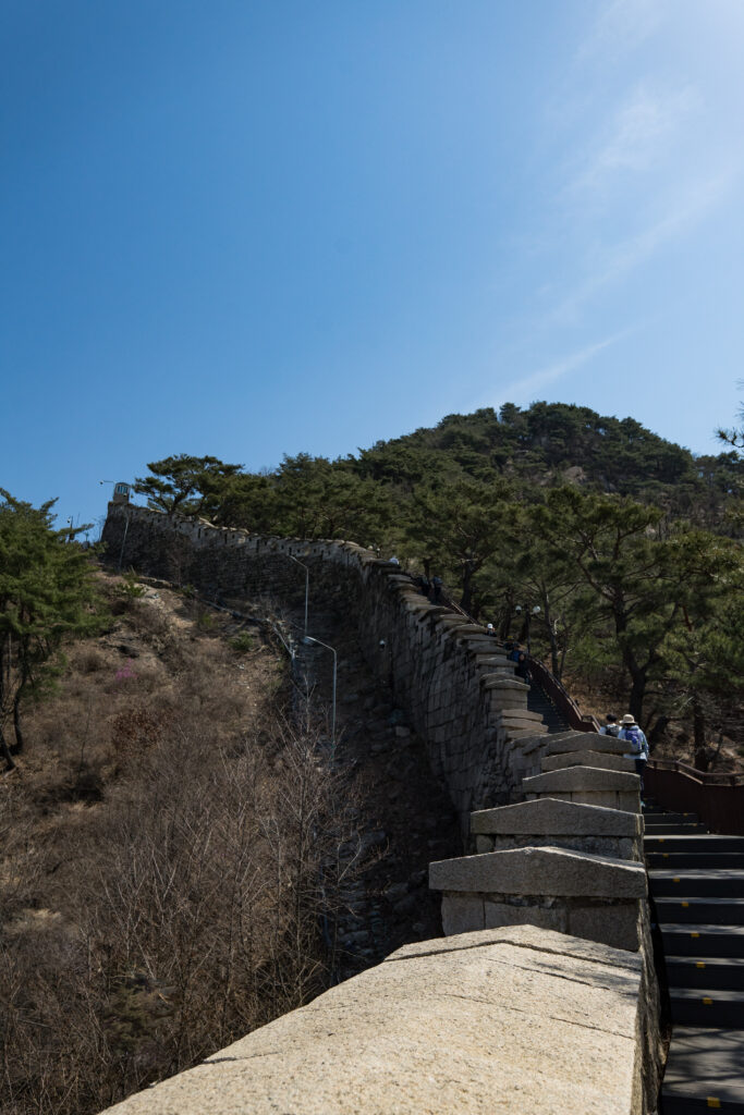 a stone wall and staircase stretching up a mountain covered in trees