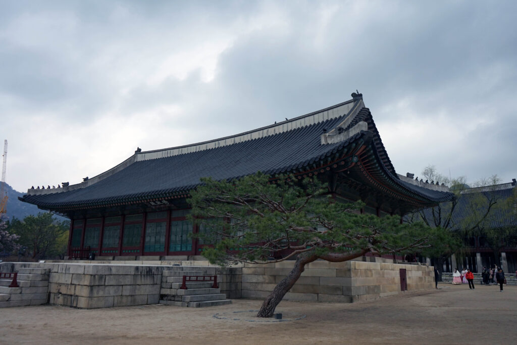 a leaning tree in front of a traditional building at Gyeongbokgung Palace in Seoul, South Korea