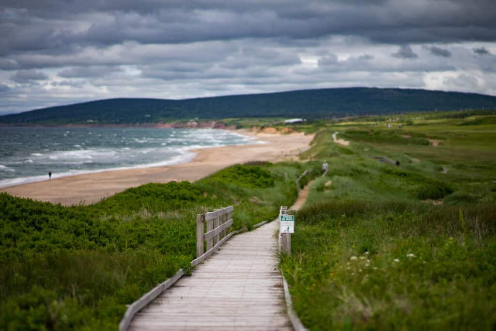 a boardwalk running alongside a beach surrounded by tall grasses and dunes