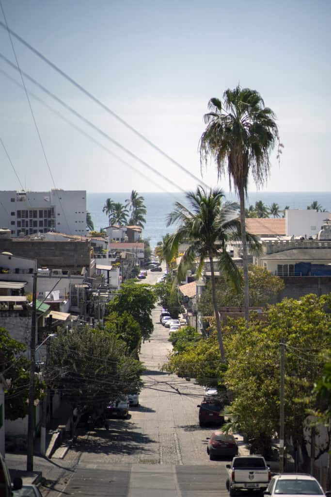 a road on a downward incline heading toward the ocean, and lined with palm trees