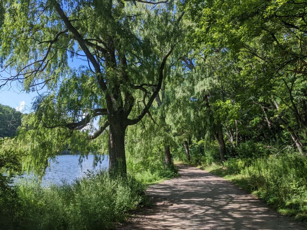 A bicycle path running alongside a small lake and surrounded by trees, grass, and foliage.