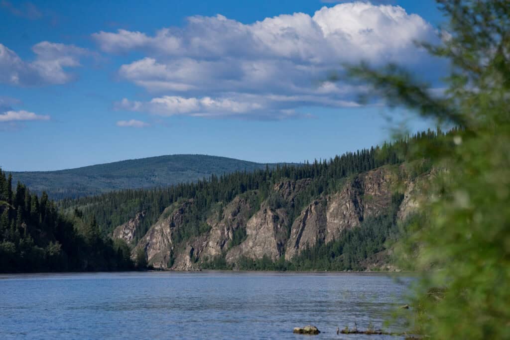 The yukon river flowing toward small mountains, and surrounded by trees