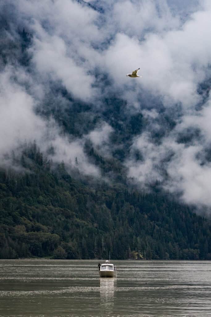 A small boat in Toba Inlet, surrounded by fog, forest, and birds.