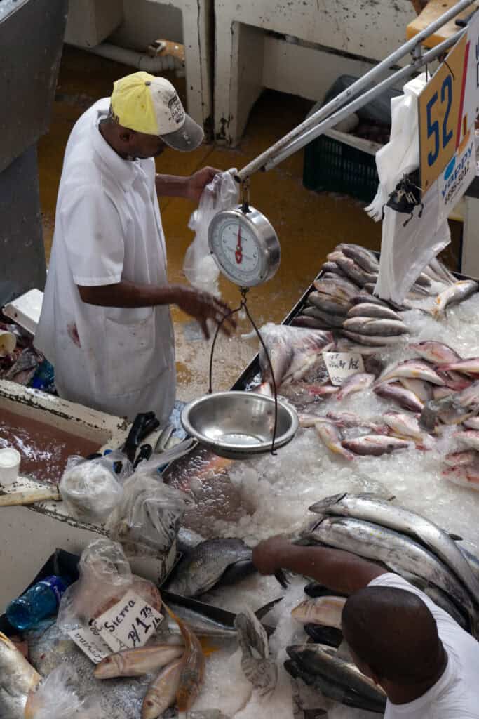 Fish vendors weighing fresh fish on a hanging scale at a seafood market in Panama City, with whole fish displayed on ice and price signs visible.