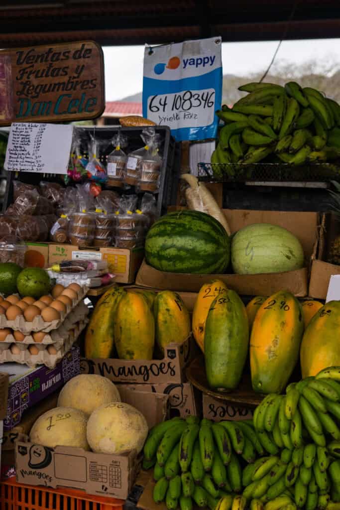 Market stall piled with fresh produce including papayas, bananas, melons, eggs, and baked goods, with handwritten price signs above.
