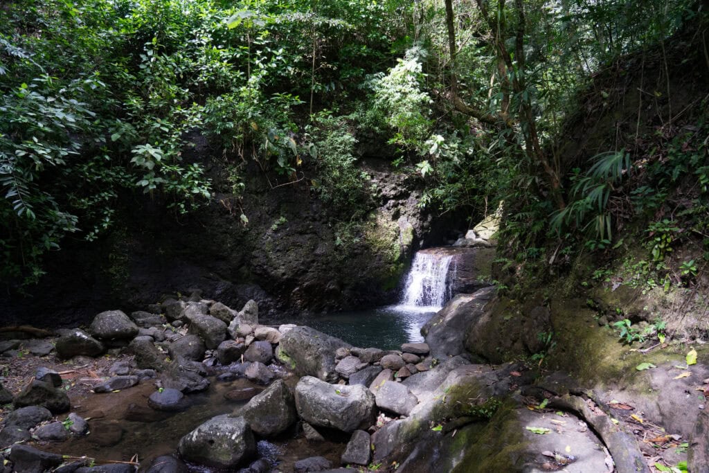 Small waterfall cascading into a rocky pool surrounded by dense green jungle and moss-covered stones.