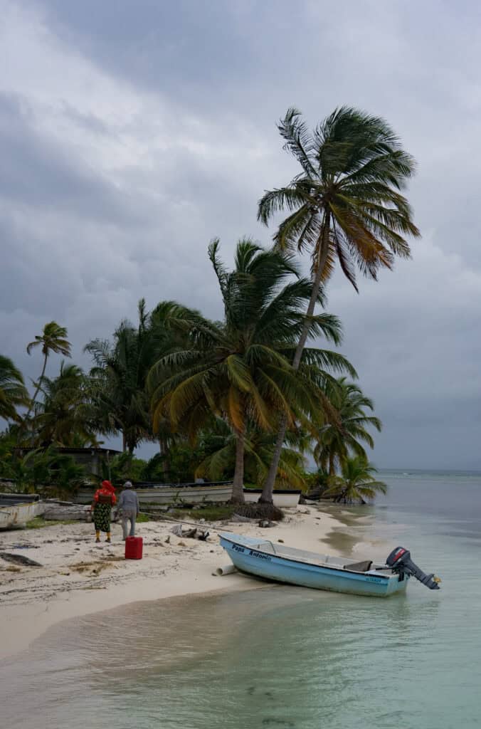 Tall palm trees bend in the wind along a quiet sandy beach, where two people walk near small fishing boats pulled up on shore under a cloudy sky.