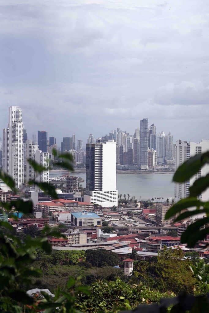 View of Panama City’s skyline from above, with high rise buildings along the waterfront framed by leafy branches in the foreground.