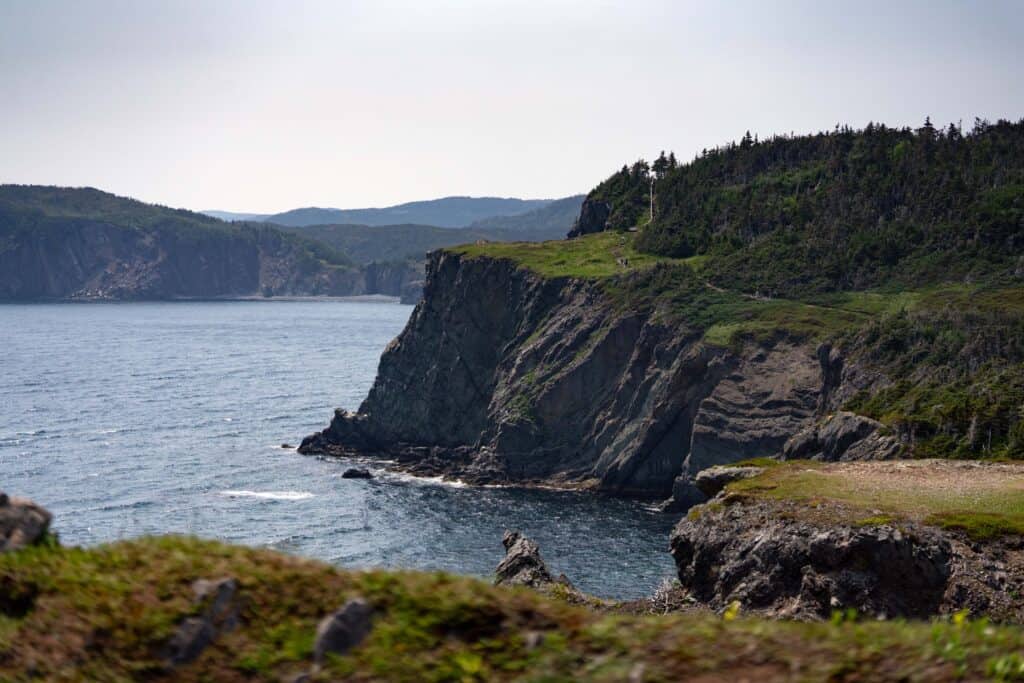 Steep coastal cliffs and forest overlooking the Atlantic Ocean in Newfoundland.