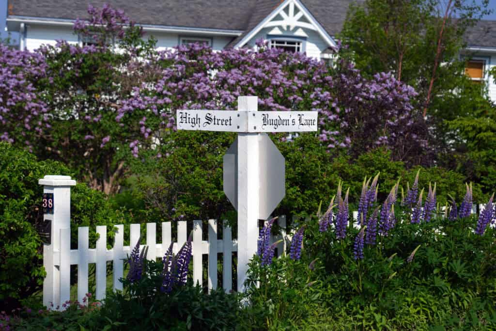 Historic street sign marking High Street and Bugden's Lane in Trinity, Newfoundland and Labrador, surrounded by blooming lupins and heritage homes.