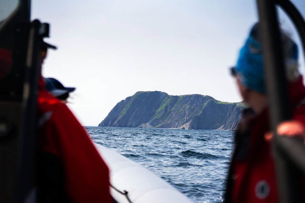 Boat tour along the Newfoundland coast, with passengers looking toward steep cliffs rising above the Atlantic Ocean.