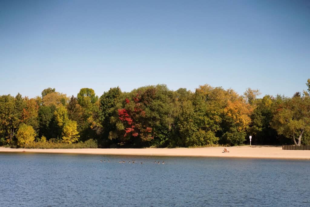 Sandy beach on Lake Nipissing backed by trees beginning to change colour for fall in North Bay, Ontario.