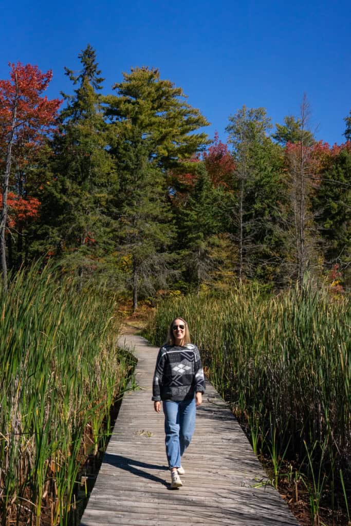 Woman walking along a boardwalk through wetlands and colourful fall forest at Laurier Woods Conservation Area in North Bay.